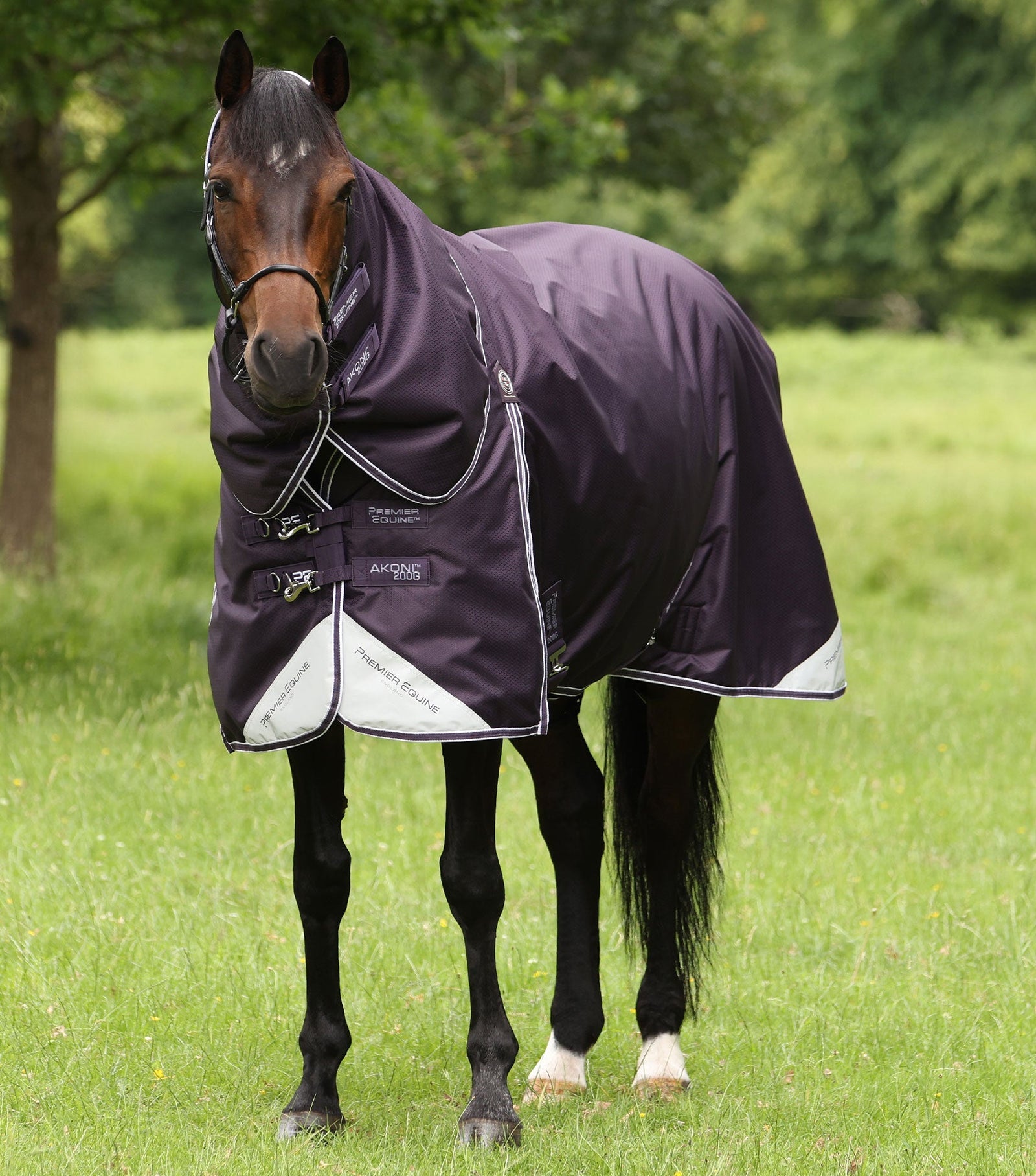 Premier Equine Akoni 200g Turnout Rug with Classic Neck Cover