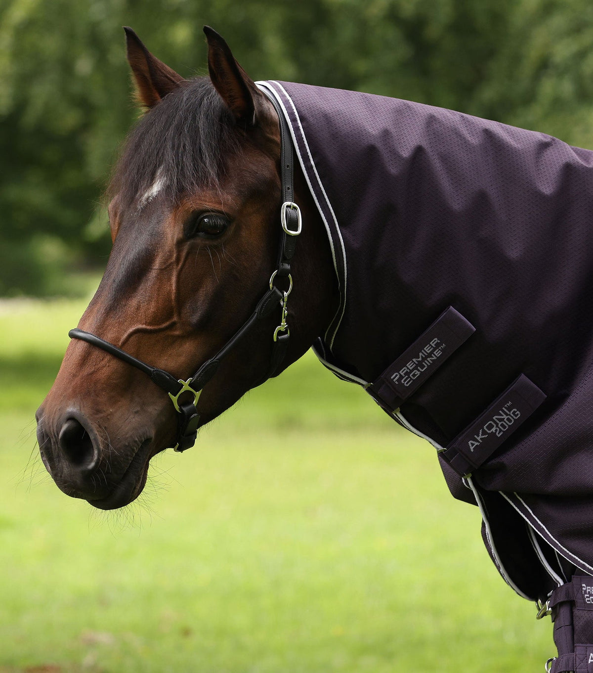 Premier Equine Akoni 200g Turnout Rug with Classic Neck Cover