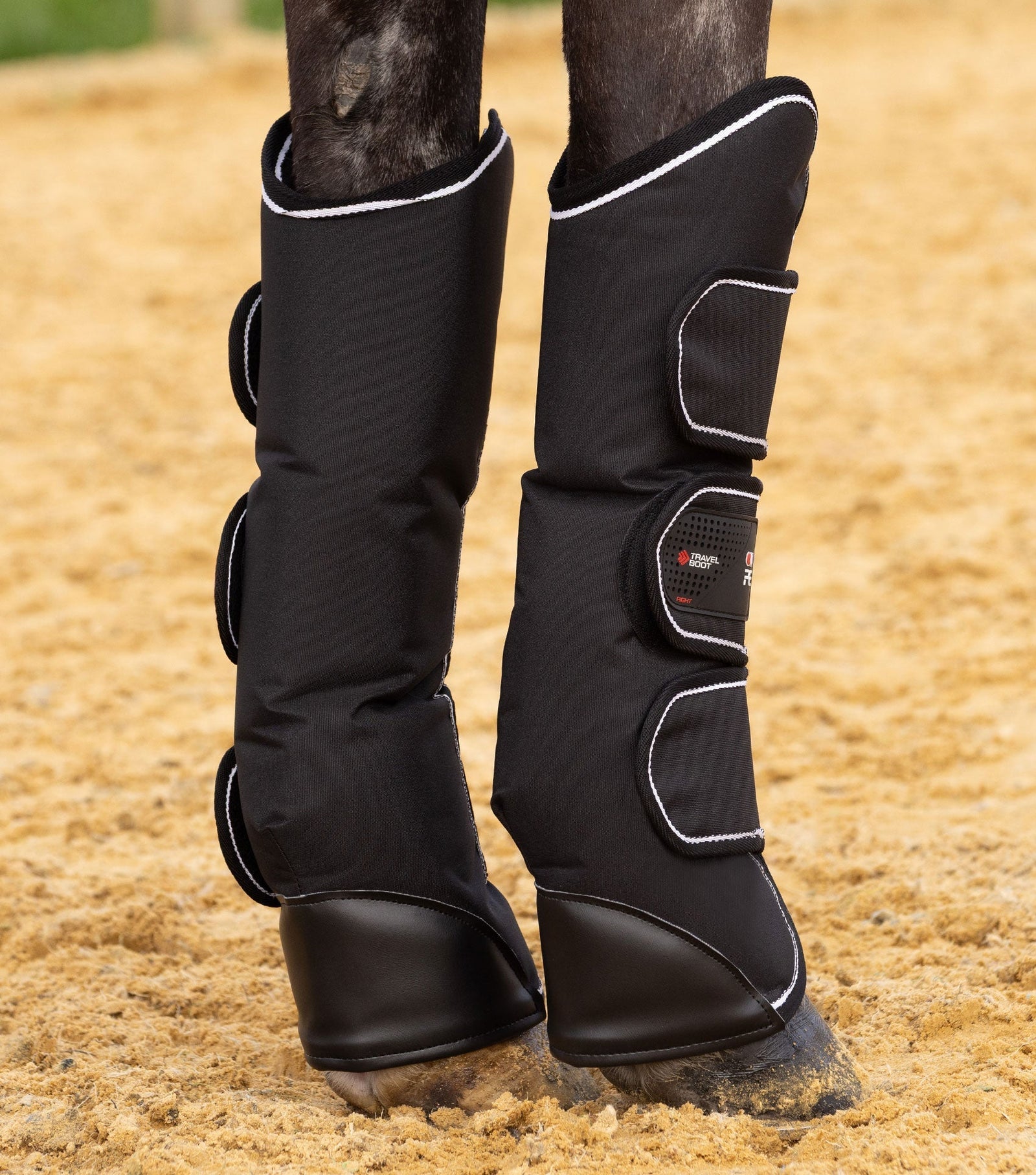 Premier Equine Barrasso Travel Boots