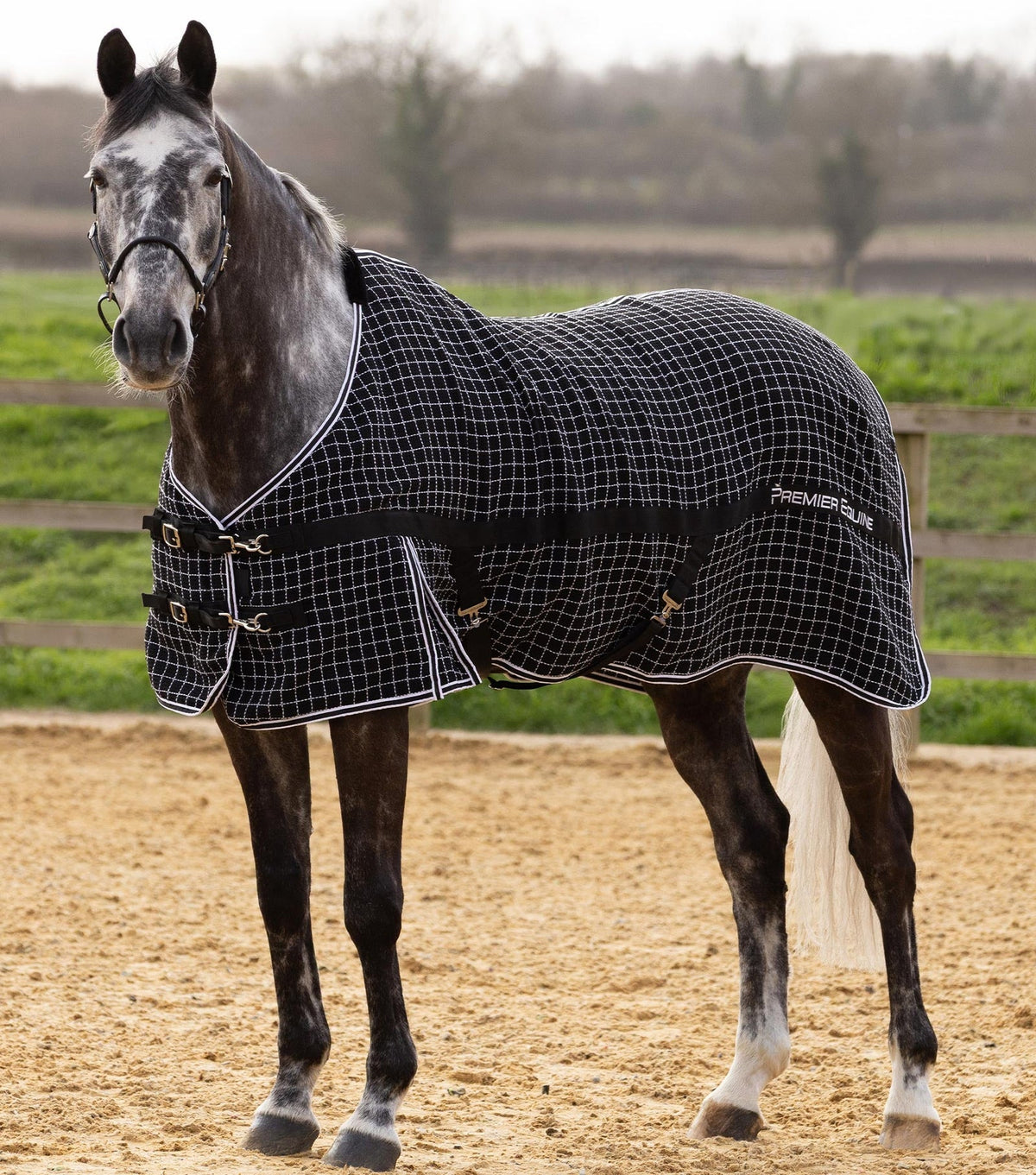 Premier Equine Barrasso Waffle Cooler Rug