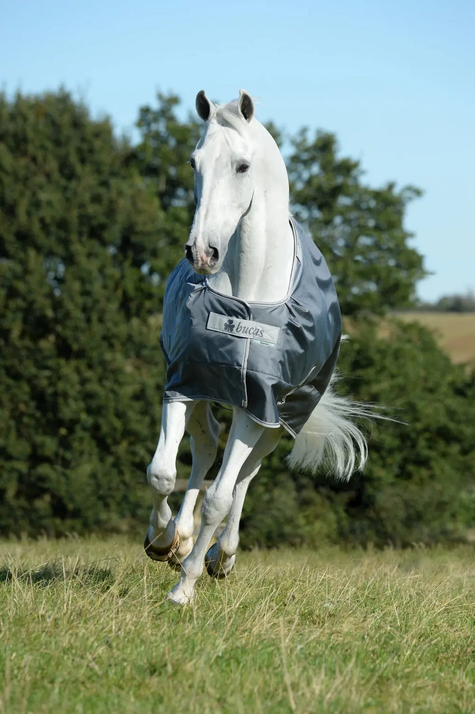 Bucas Smartex Medium Big Neck 150g Turnout Rug