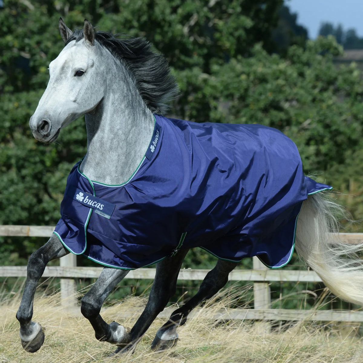 Bucas Smartex Rain 0g Turnout Rug