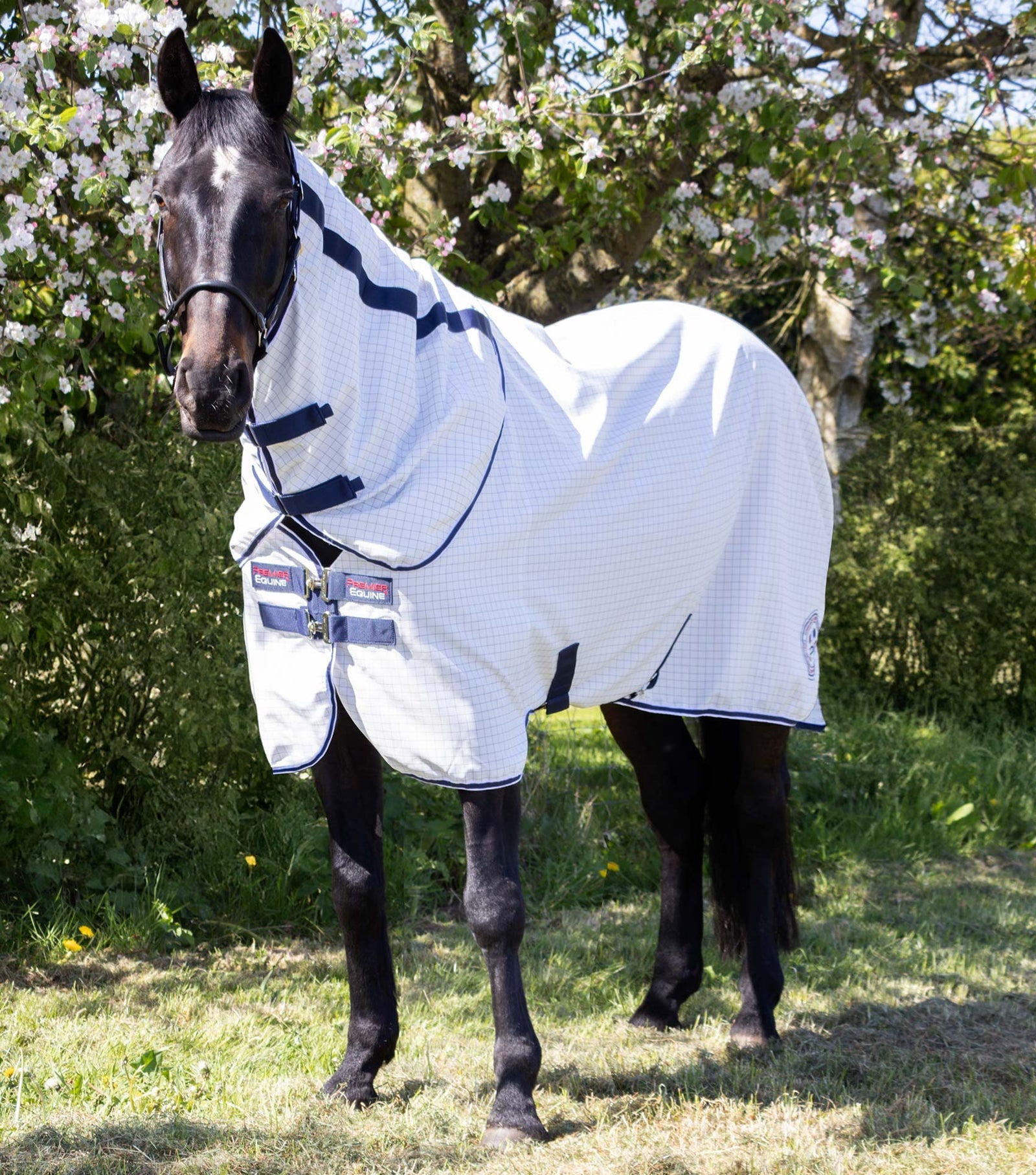 Premier Equine Cotone Stable Sheet with Neck Cover- White-Navy Check