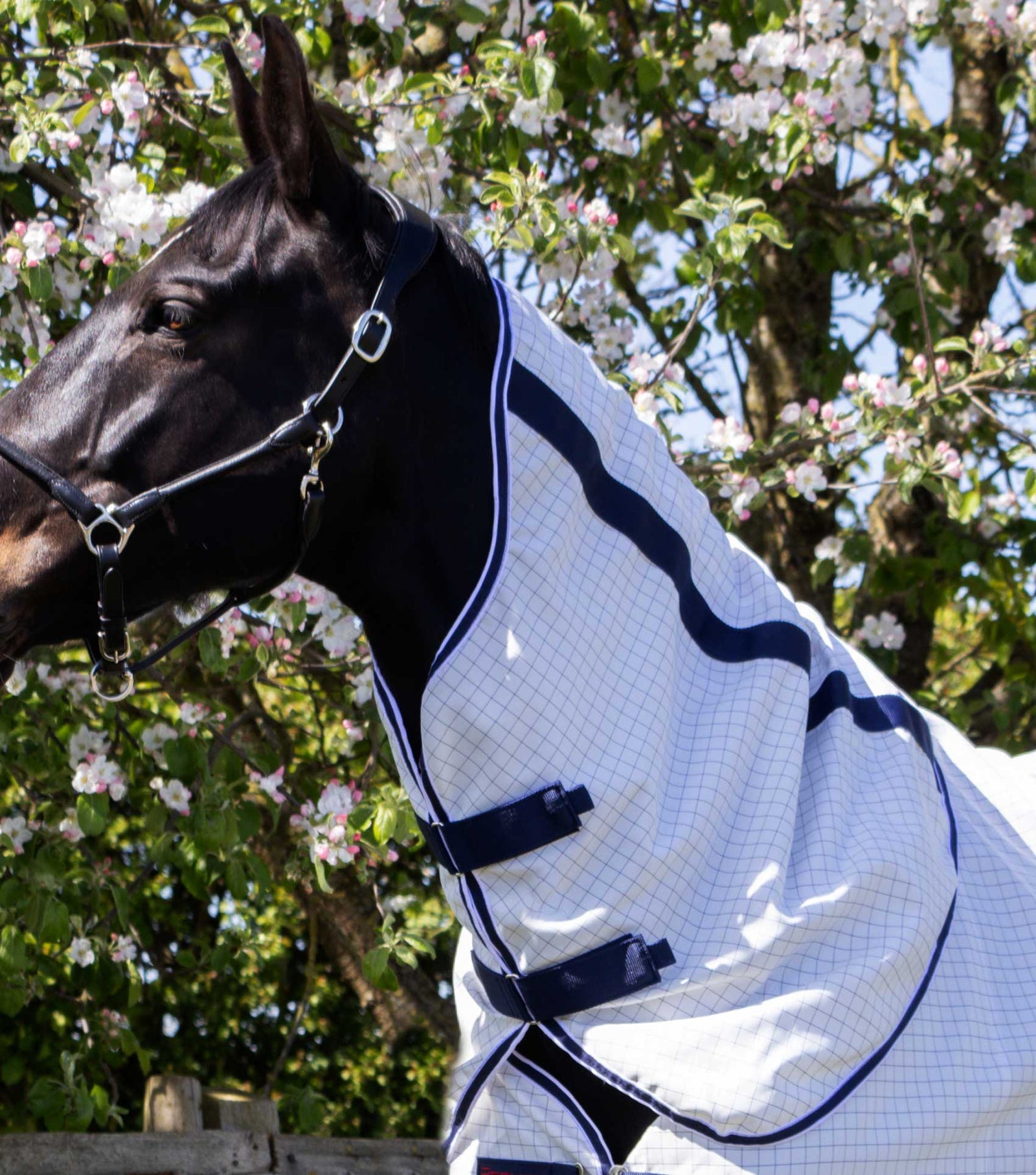 Premier Equine Cotone Stable Sheet with Neck Cover- White-Navy Check