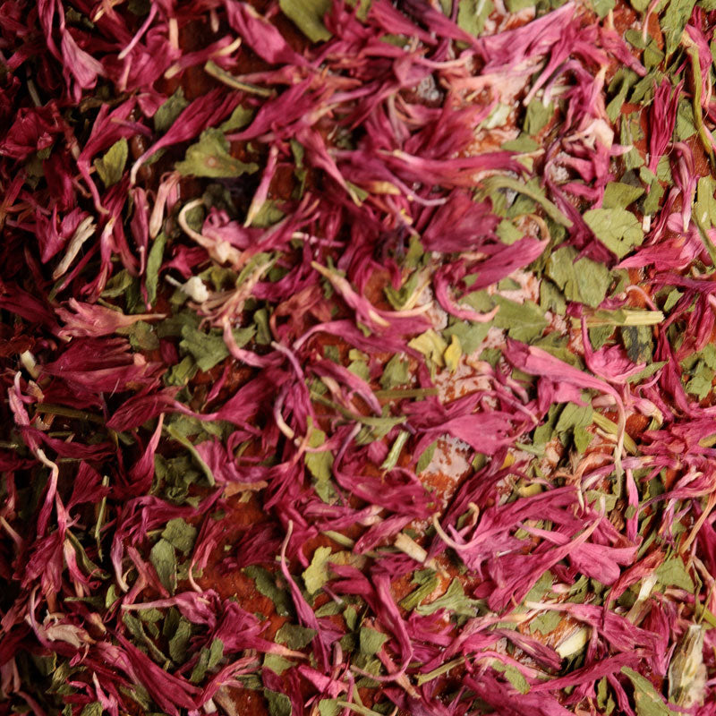 Grooming Deluxe Wooden Relax Horse Toy – De-Stress