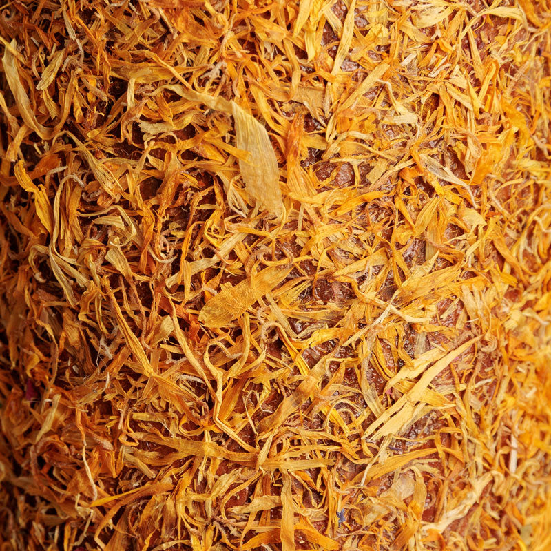 Grooming Deluxe Wooden Relax Horse Toy – De-Stress