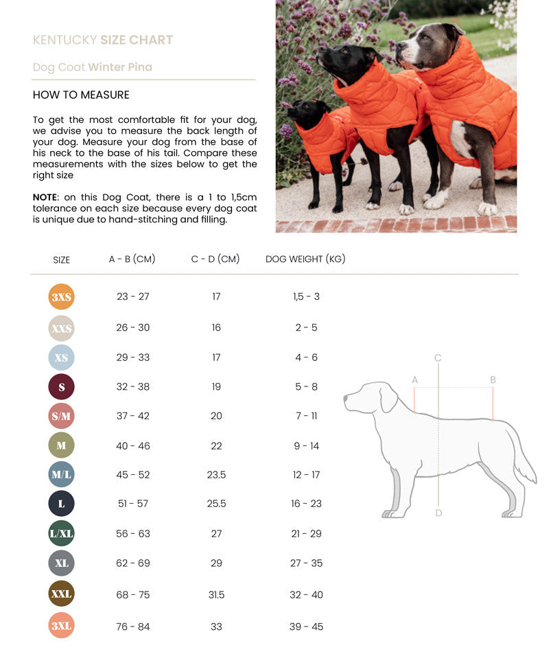 Kentucky  Dog Coat Pina