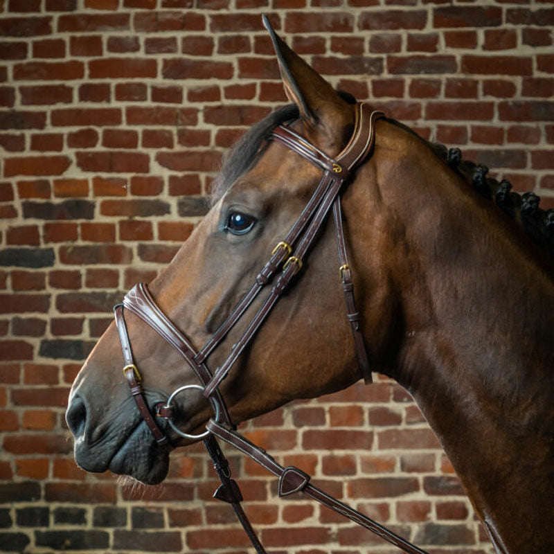 Dyon Collection Anatomic Flash Noseband Bridle