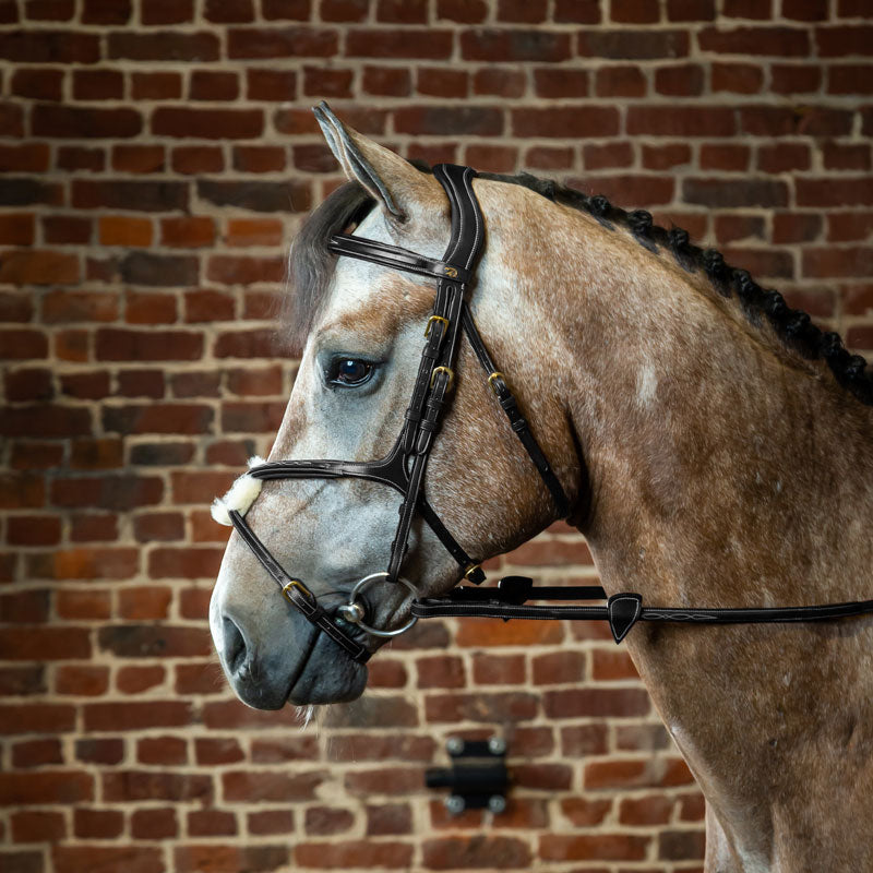 Dyon Collection Bridle with Grackle Noseband