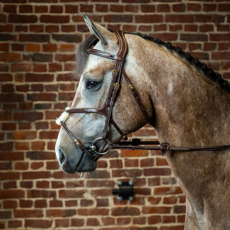 Dyon Collection Bridle with Grackle Noseband