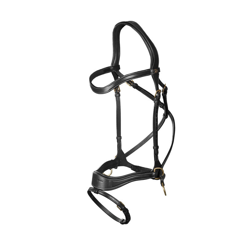 Dy’on Working Motion Bridle