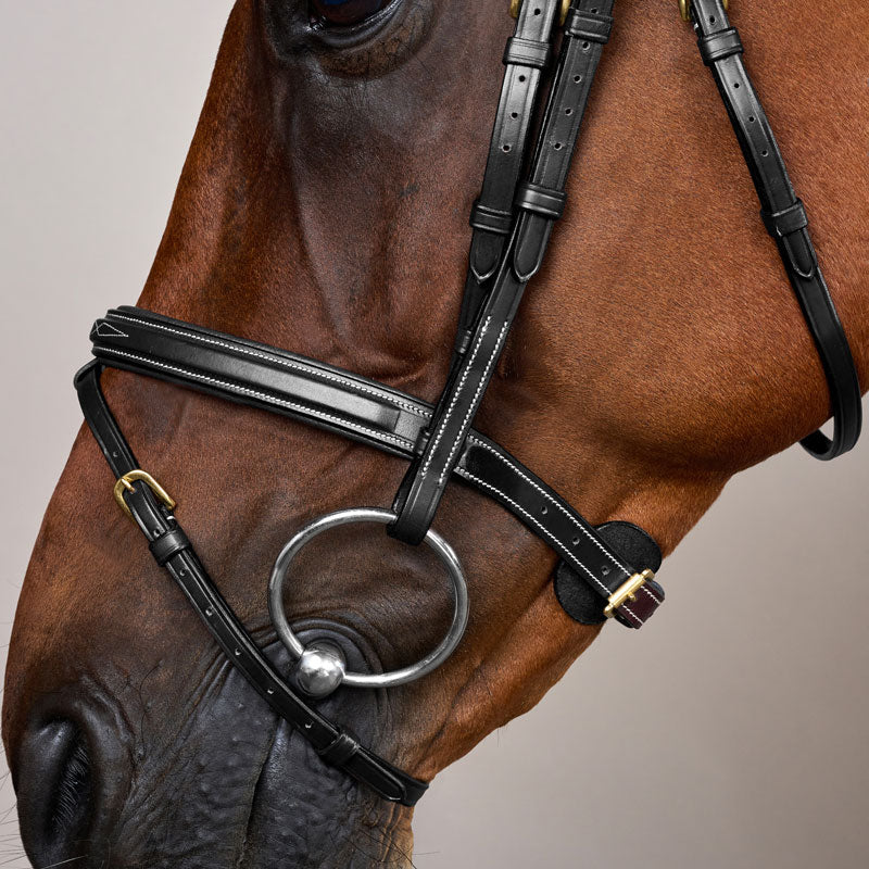 Dy’on Flash Noseband Bridle