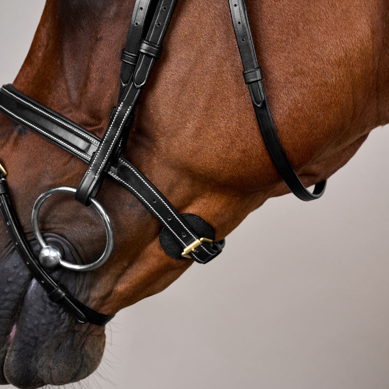 Dy’on Flash Noseband Bridle