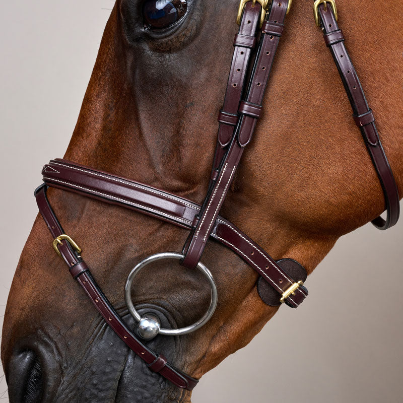 Dy’on Flash Noseband Bridle