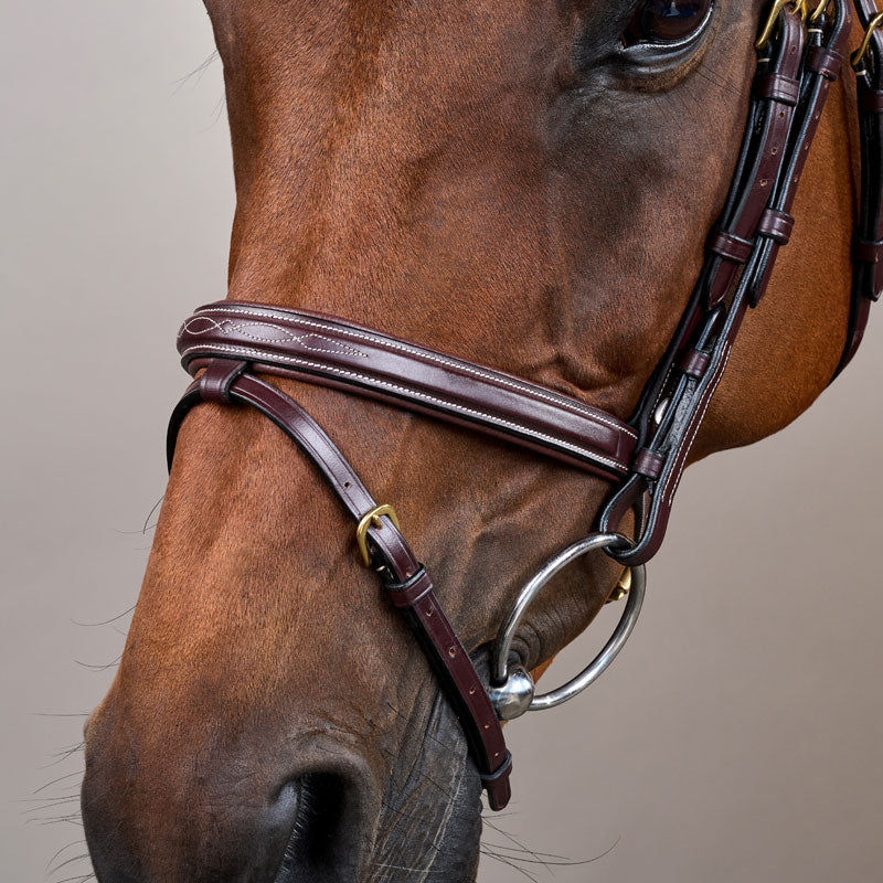 Dy’on Flash Noseband Bridle