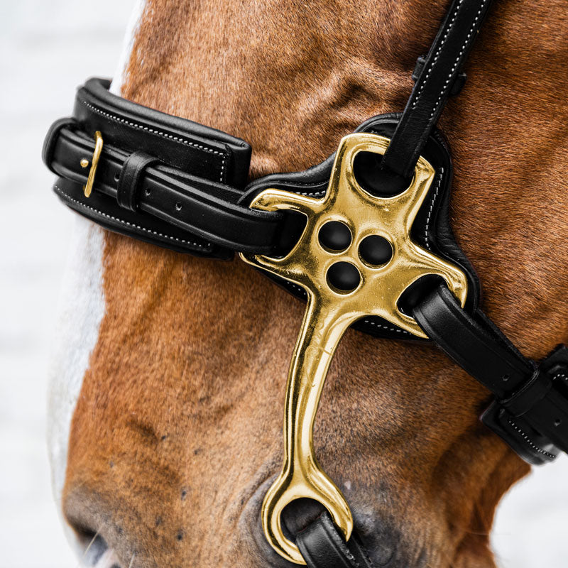 Dy’on Hackamore Noseband
