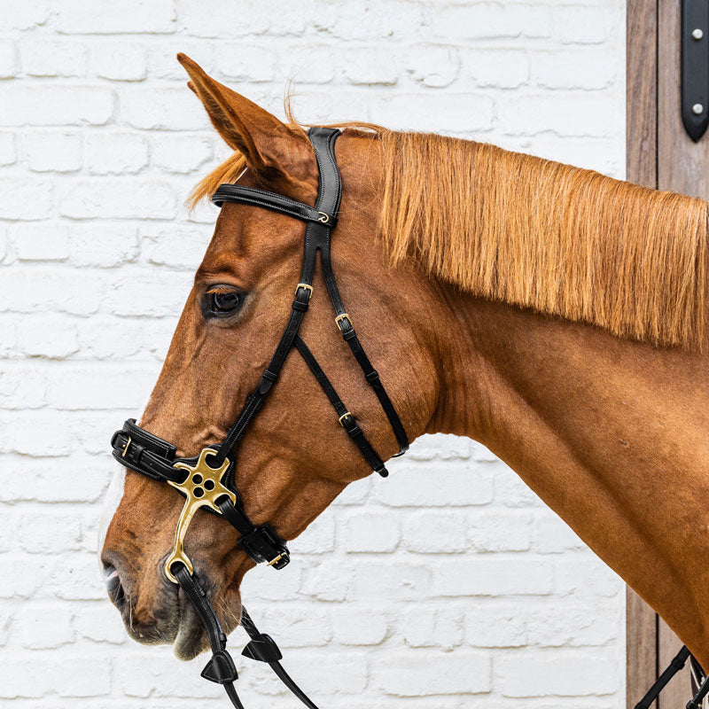 Dy’on Hackamore Noseband