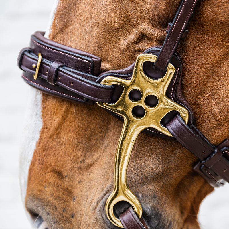 Dy’on Hackamore Noseband