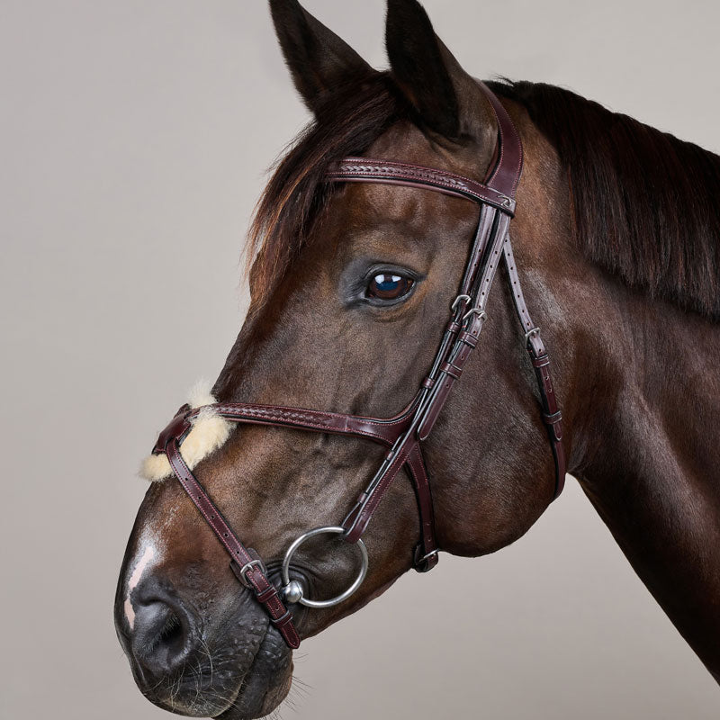 Dy'on New English Plaited Fig 8 Bridle