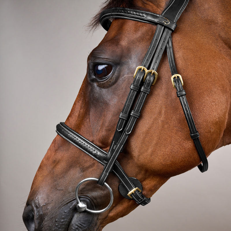 Dy’on Plaited Noseband Bridle Without Flash