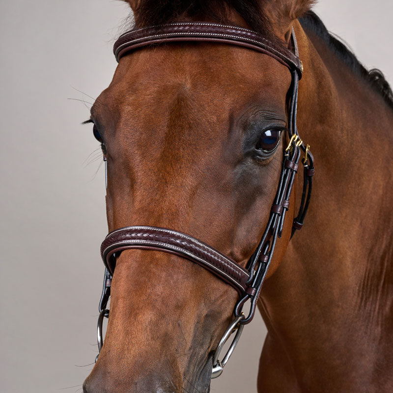 Dy’on Plaited Noseband Bridle Without Flash