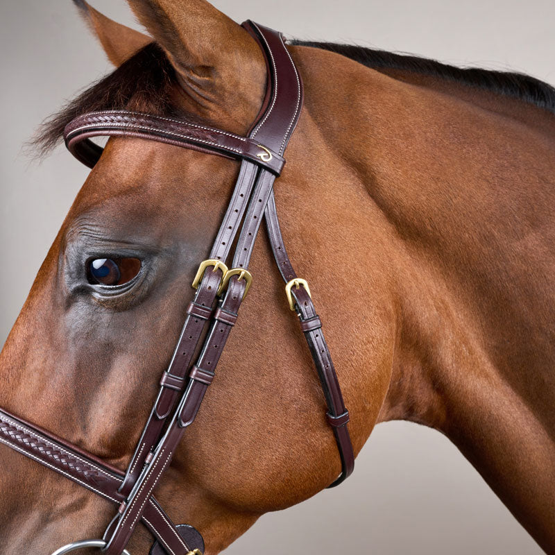 Dy’on Plaited Noseband Bridle Without Flash