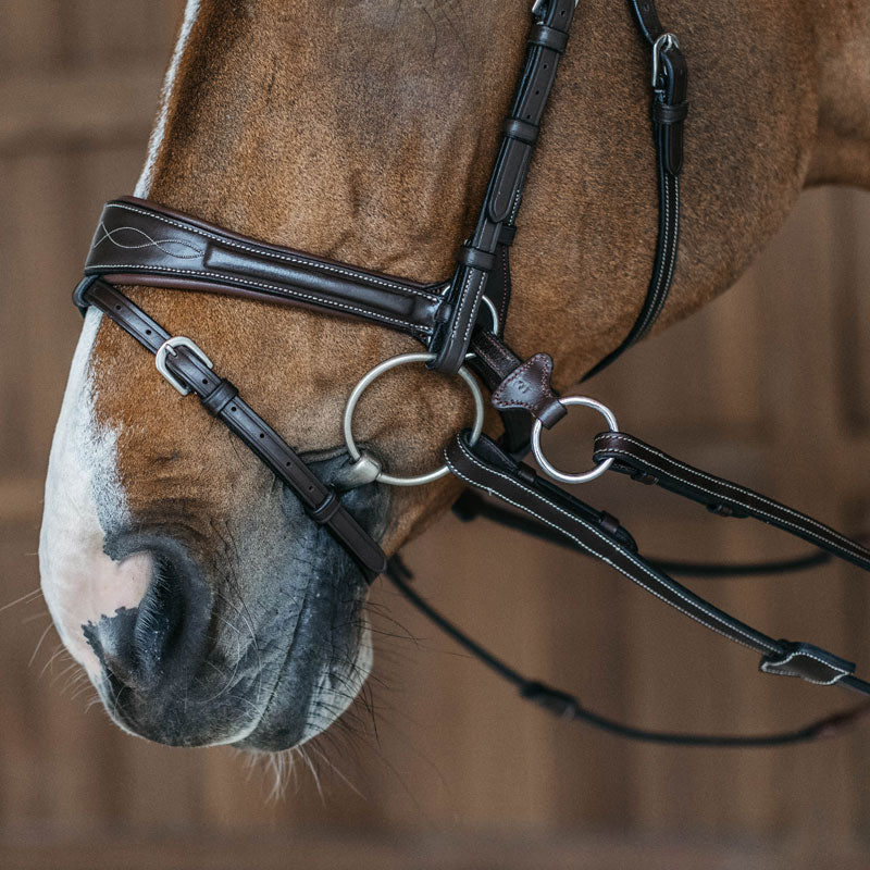 Dy’on Working Motion Bridle