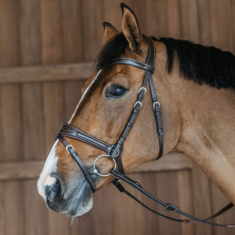 Dy’on Working Motion Bridle
