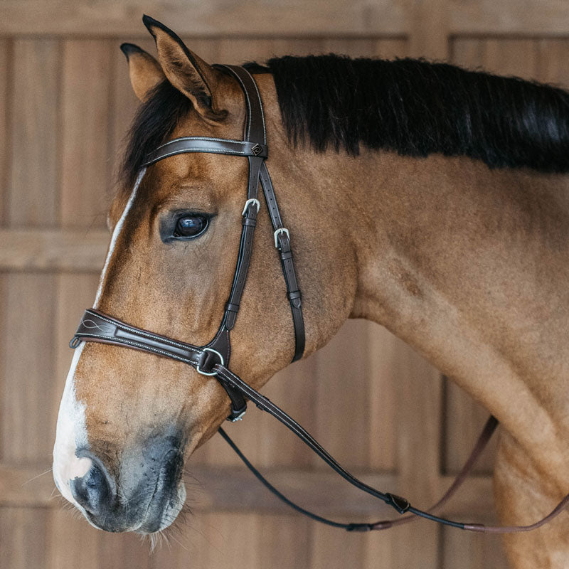 Dy’on Working Motion Bridle