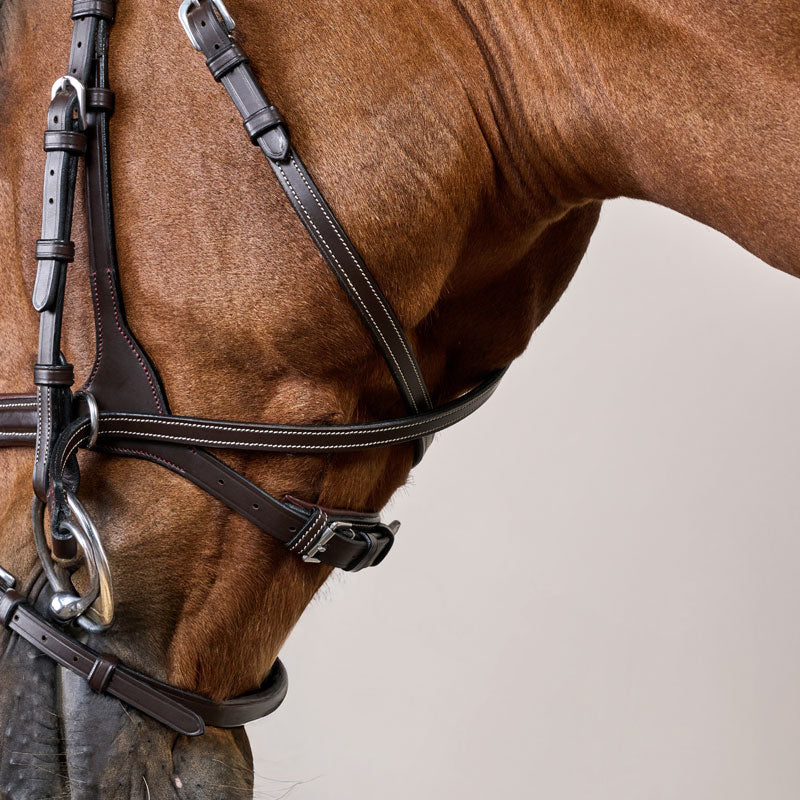 Dy’on Working Motion Bridle