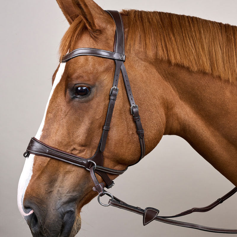 Dy’on Working Motion Bridle
