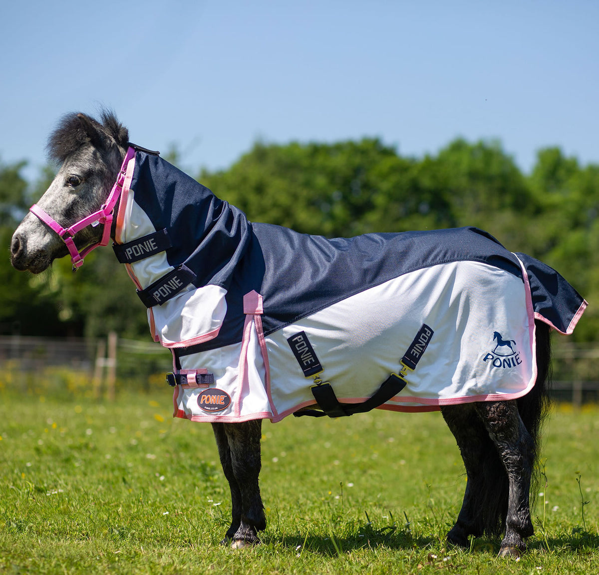 Gallop Ponie Turnout Fly Rug Combo - Navy