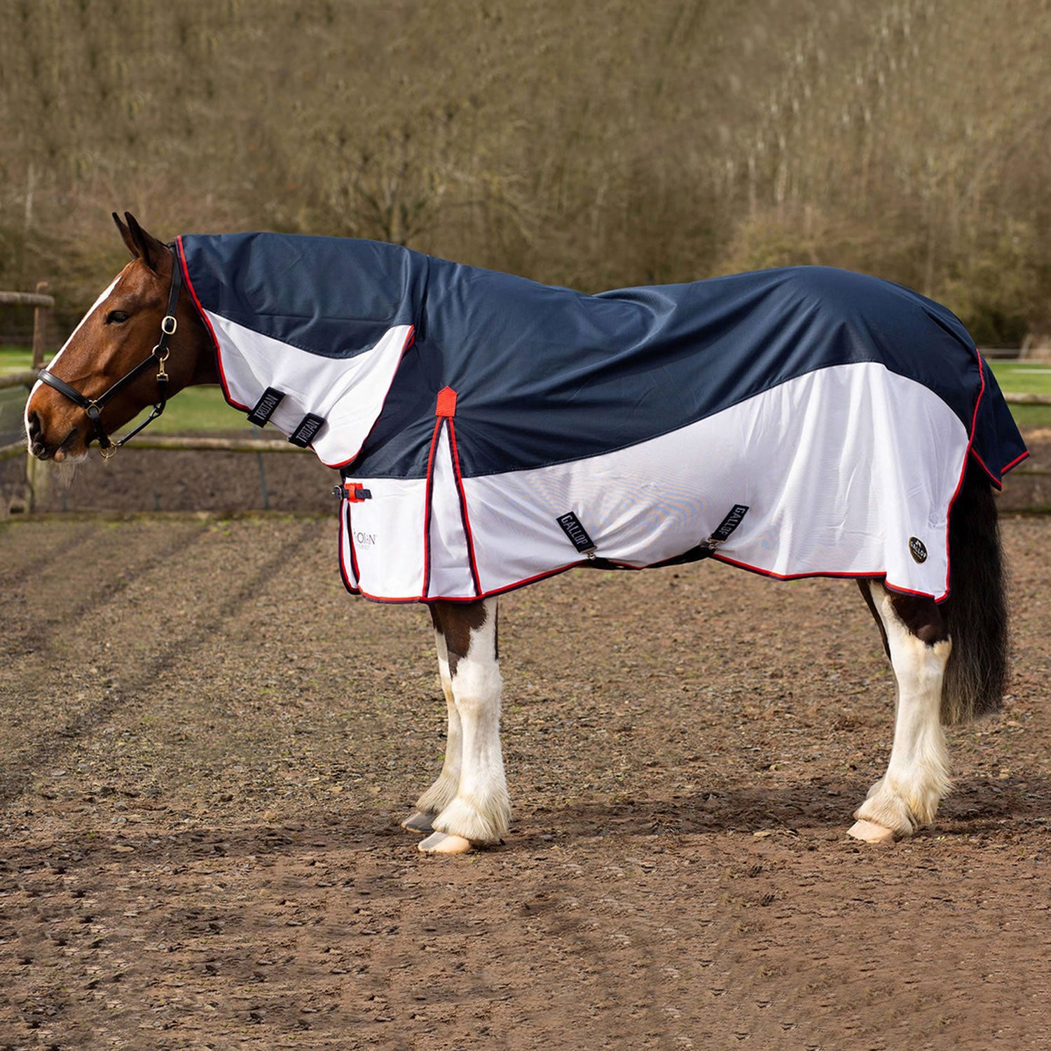 Gallop Turnout Fly Rug Combo - Navy