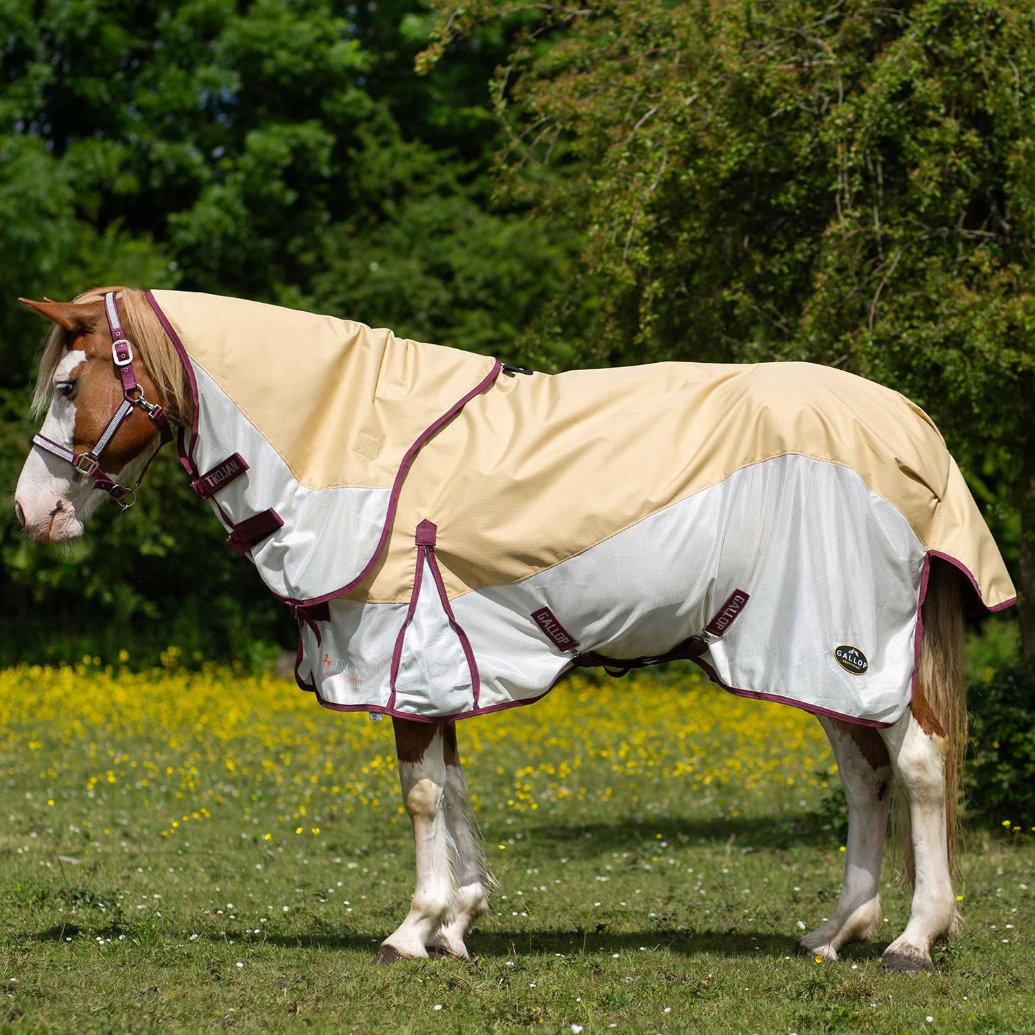 Gallop Trojan Dual Turnout Fly Rug - Beige