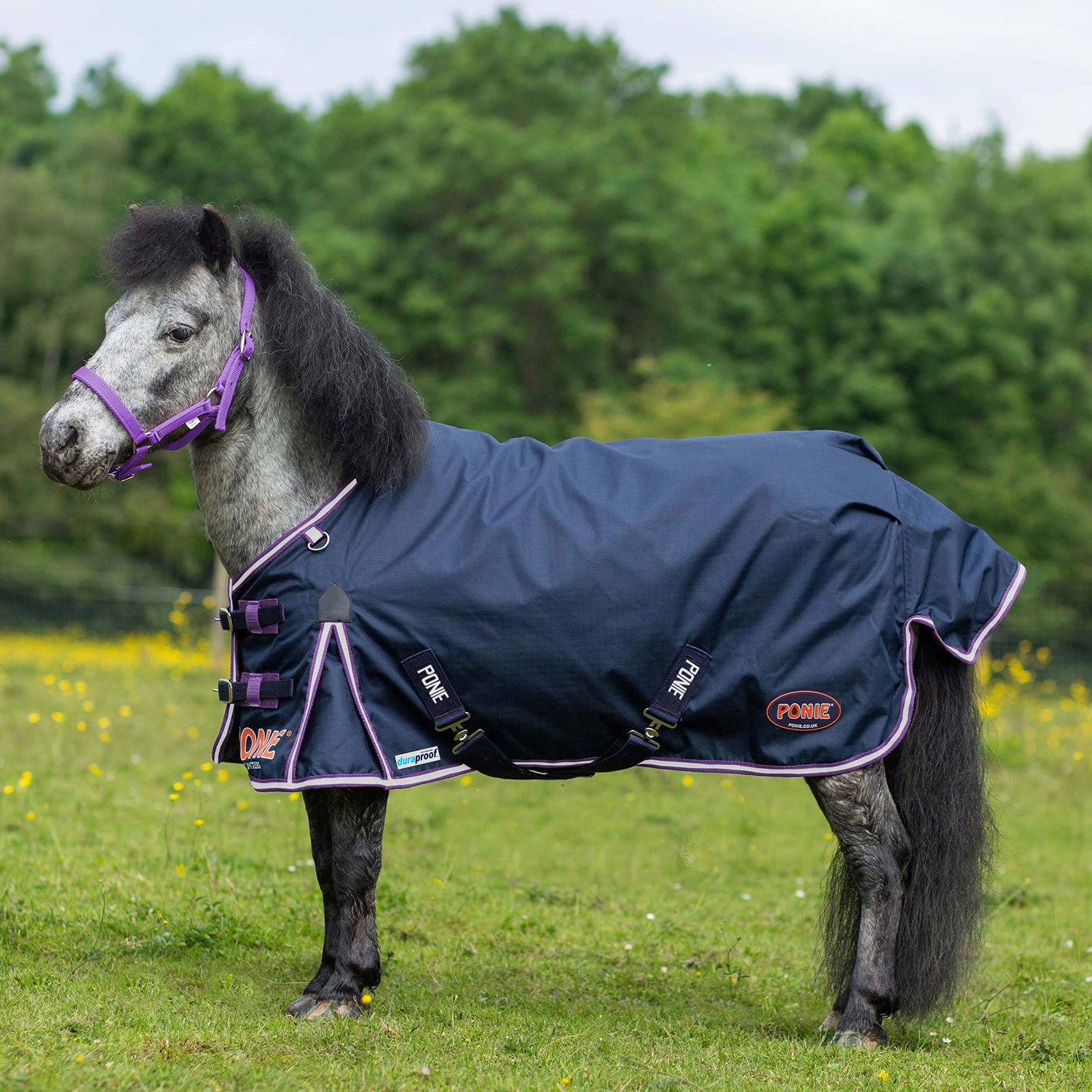 Gallop Ponie Duraproof 5-Point Standard Lightweight Turnout - Navy