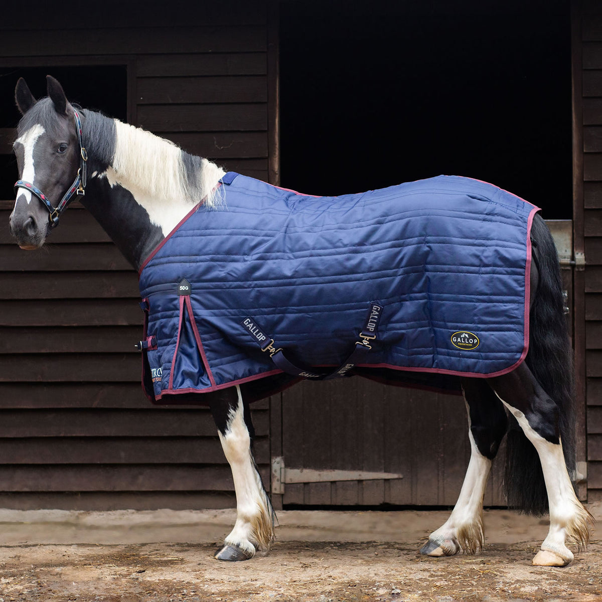 Gallop Trojan 50g Stable Rug - Navy