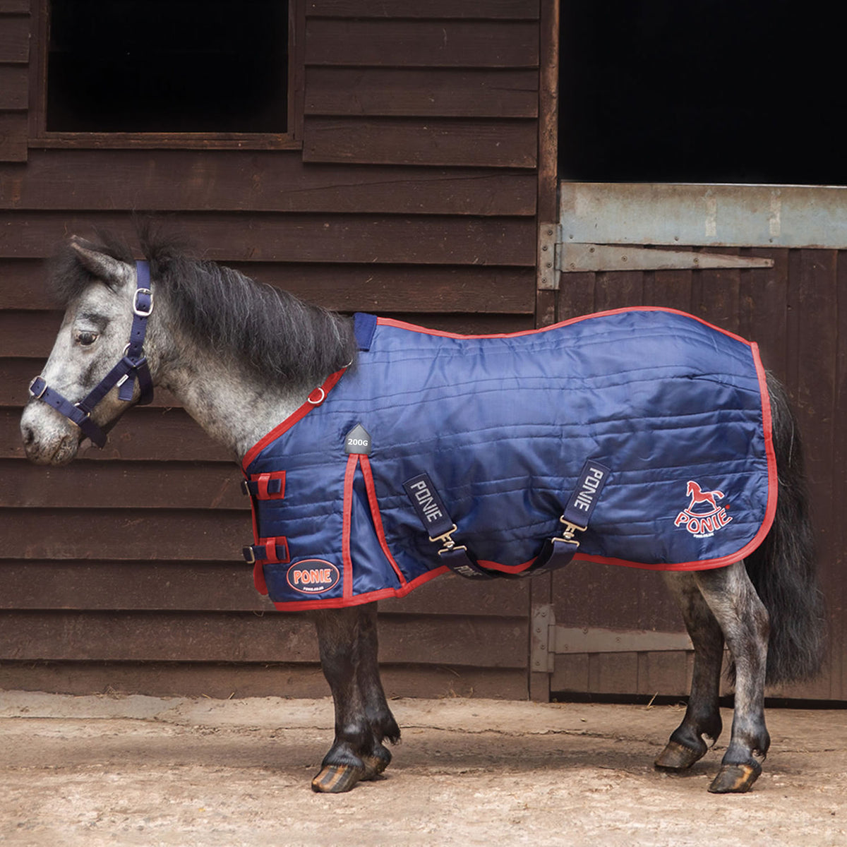 Gallop Ponie 200g Stable Rug - Navy