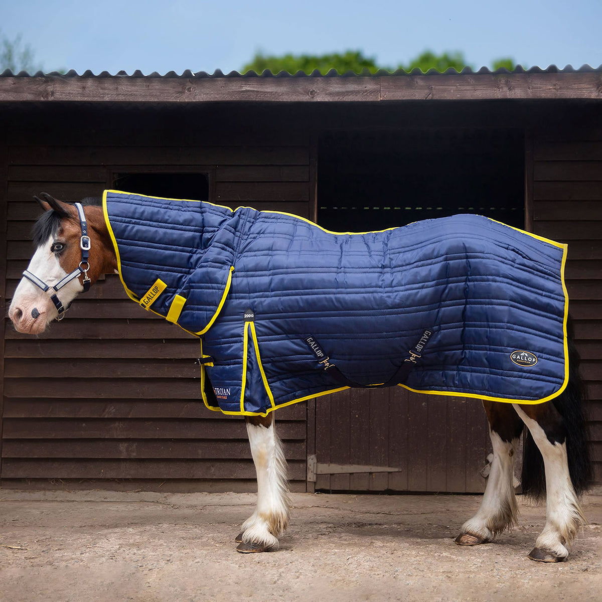 Gallop Trojan 200g Stable Rug Combo - Navy