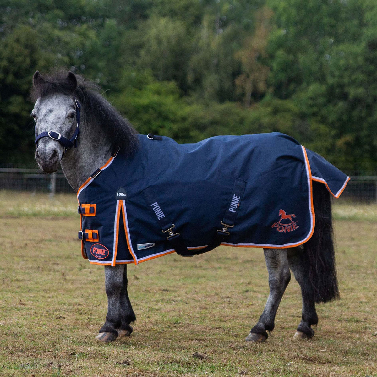 Gallop Ponie Duraproof 100g Turnout - Navy