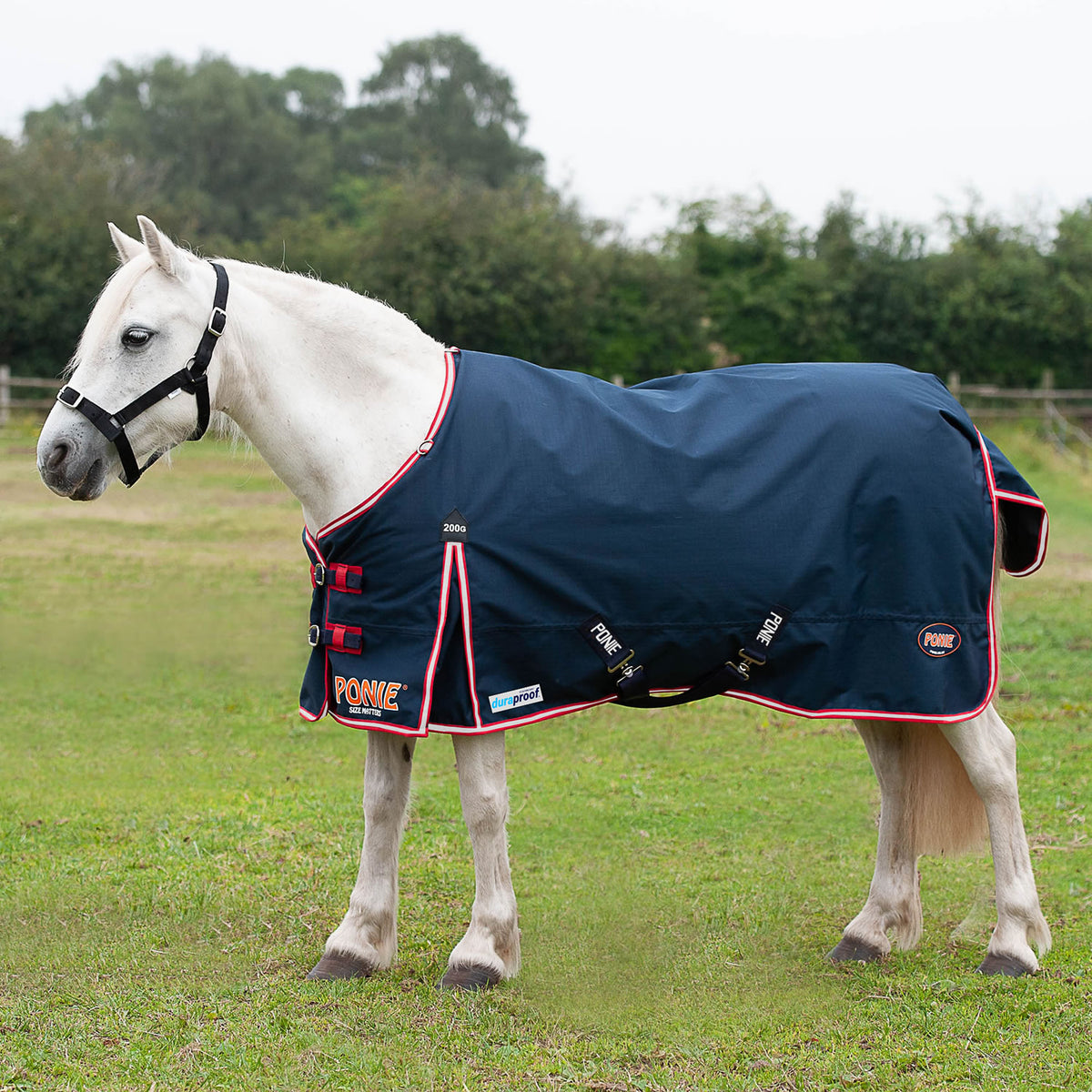 Gallop Ponie Duraproof 200g Turnout - Navy