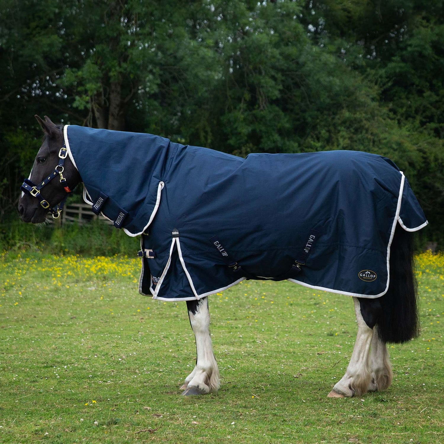 Gallop Trojan Duraproof 100g Turnout Combo - Navy