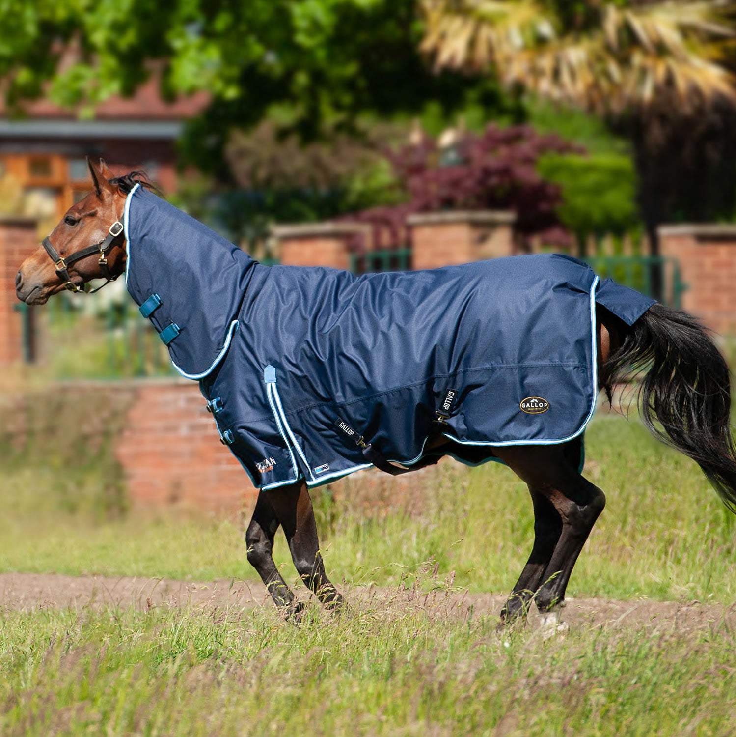 Gallop Trojan Duraproof 300g Turnout Combo - Navy