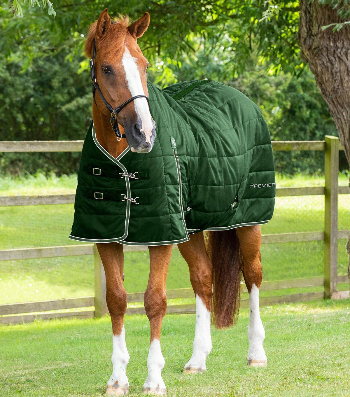 Premier Equine Garissa Stable Rug 100g