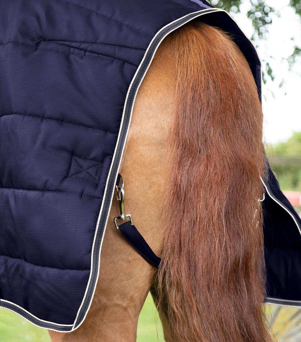 Premier Equine Garissa Stable Rug 100g