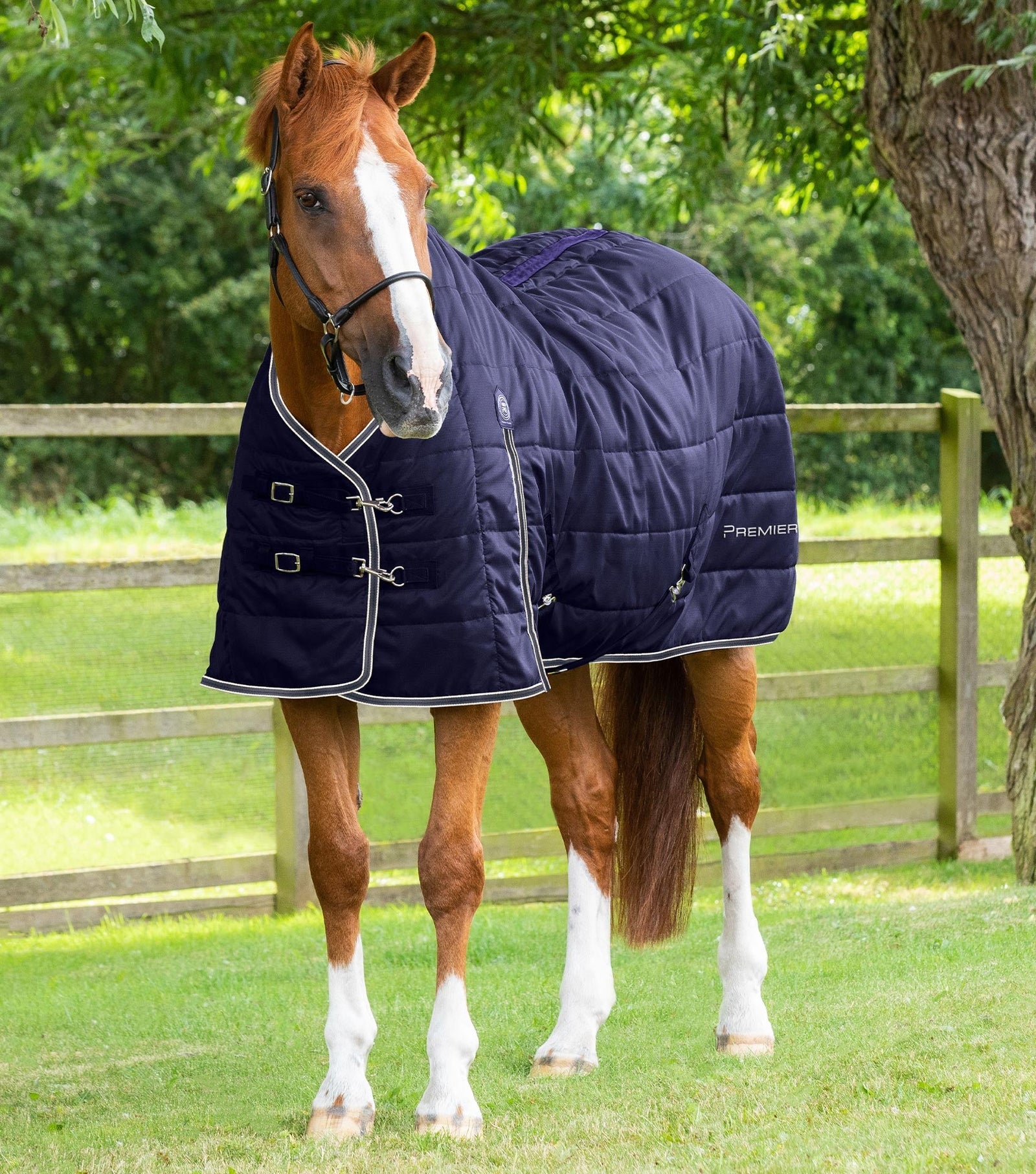 Premier Equine Garissa Stable Rug 200g