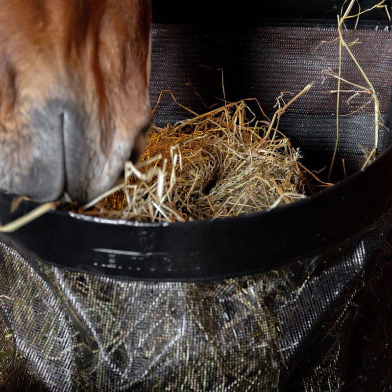 Kentucky Hay Bag Straight