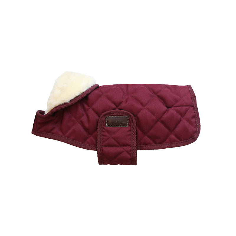 Kentucky Dog Coat