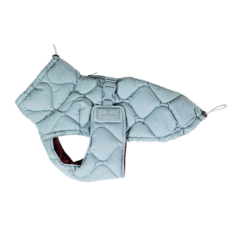 Kentucky  Dog Coat Pina