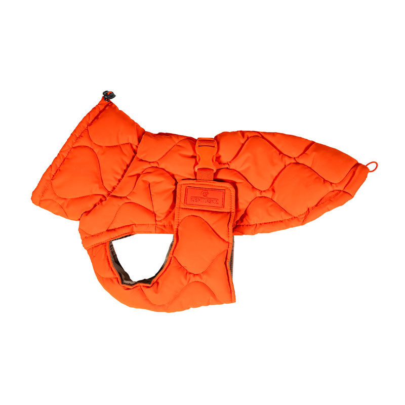 Kentucky  Dog Coat Pina