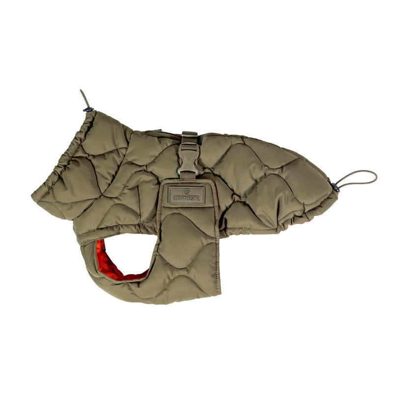 Kentucky  Dog Coat Pina